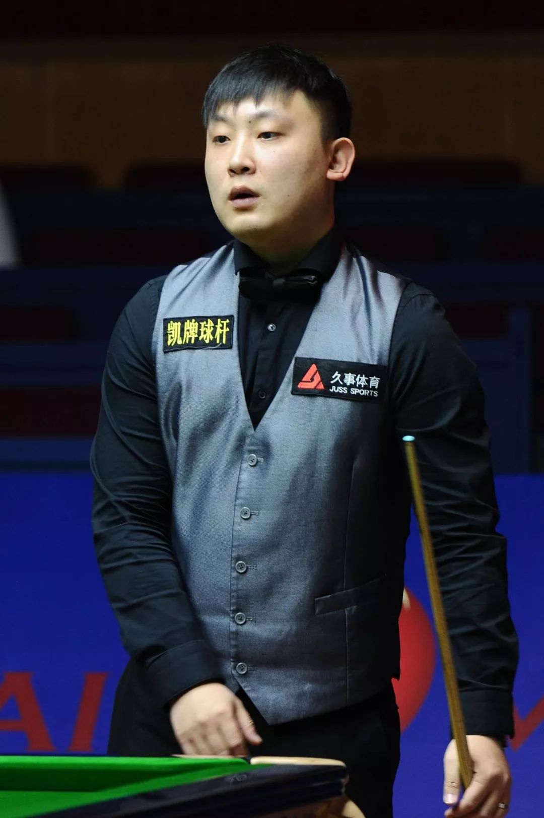 仅是职业体 仅是职业体